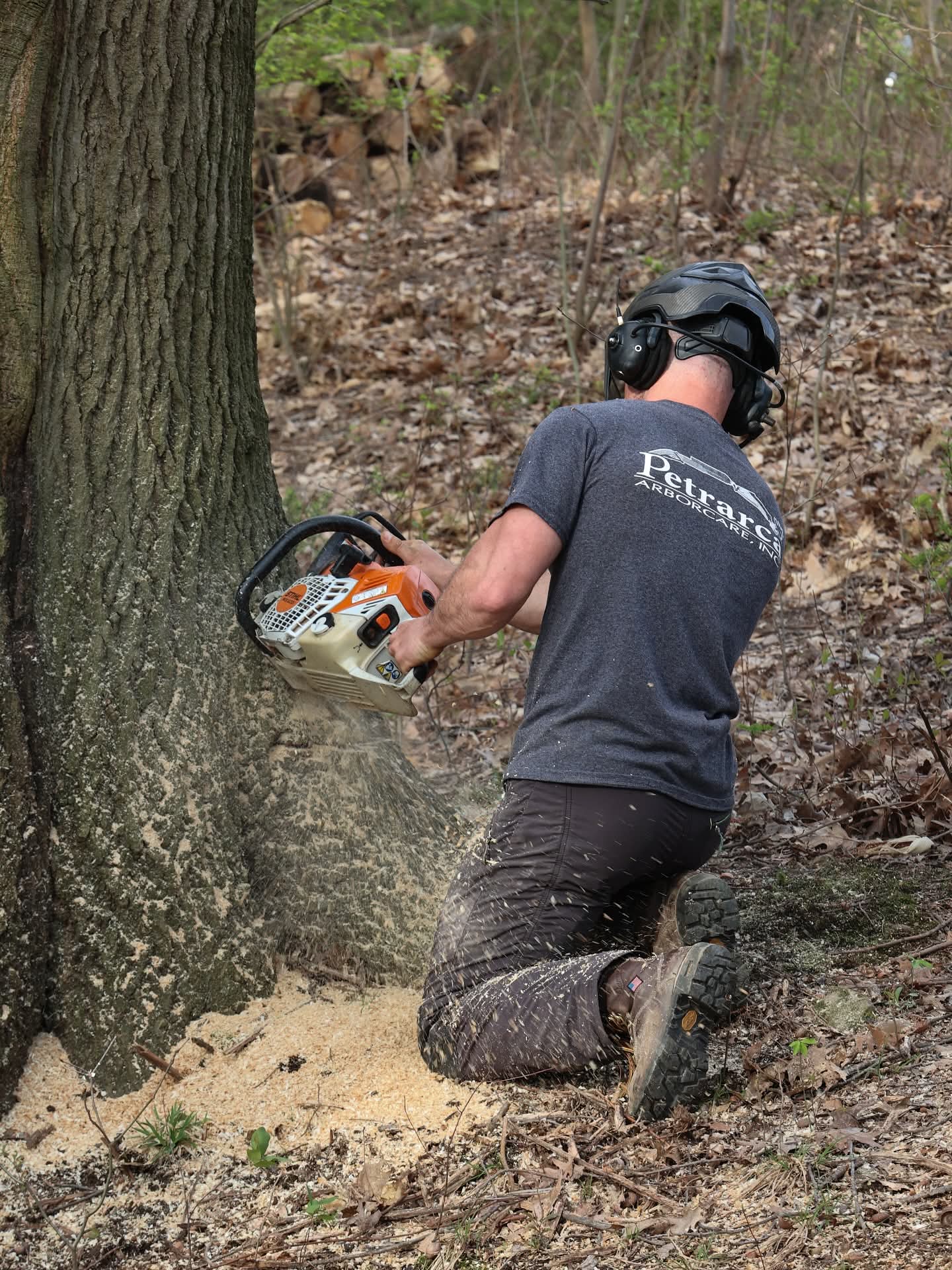 Branding Image 3